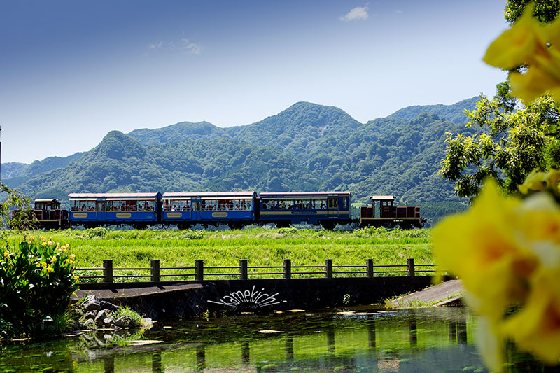 震災復興＆出発進行！（南阿蘇鉄道）_a0057752_9132342.jpg