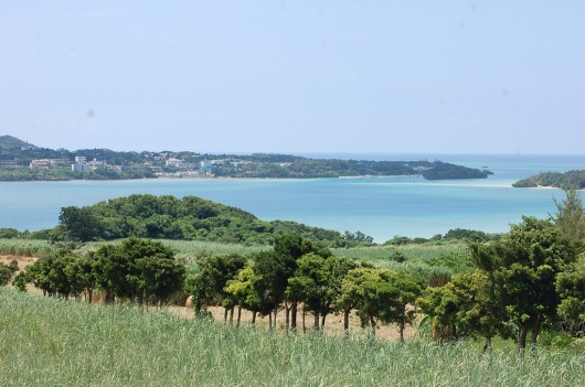 f0176860_22045026.jpg