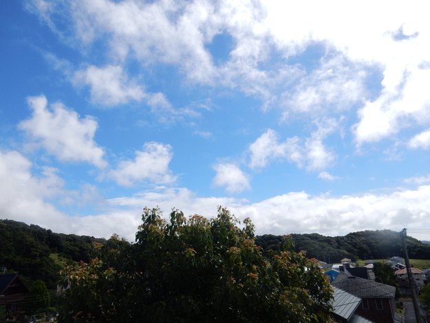 ’16,8,1(月)今日から8月!断捨離で行こう!_f0060461_9164750.jpg