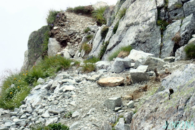 d0110562_15093763.jpg