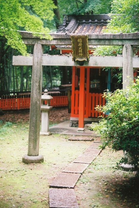 e0209962_22433129.jpg