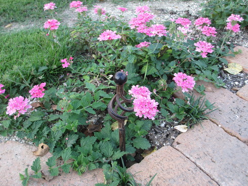 a0243064_11565554.jpg
