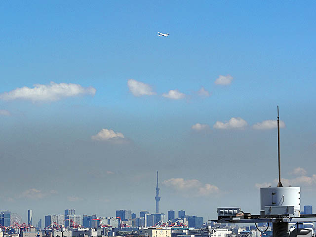 f0199866_18362899.jpg