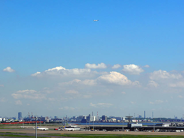 f0199866_18363281.jpg