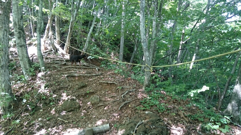 b0298776_94981.jpg