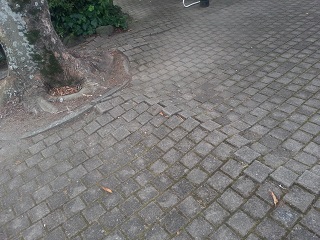 f0228680_11382570.jpg