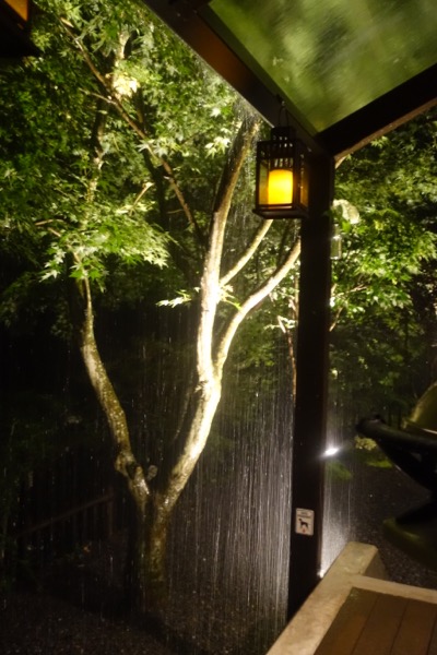 雷雨の中でもドライな私たち_d0133485_16141565.jpg