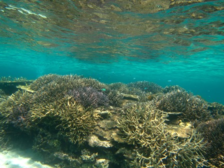 c0018489_003410.jpg