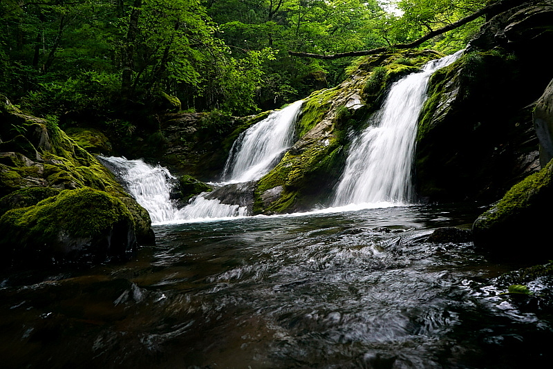 c0339900_19493371.jpg