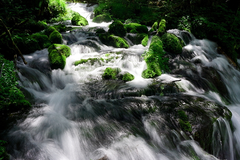 c0339900_2247176.jpg