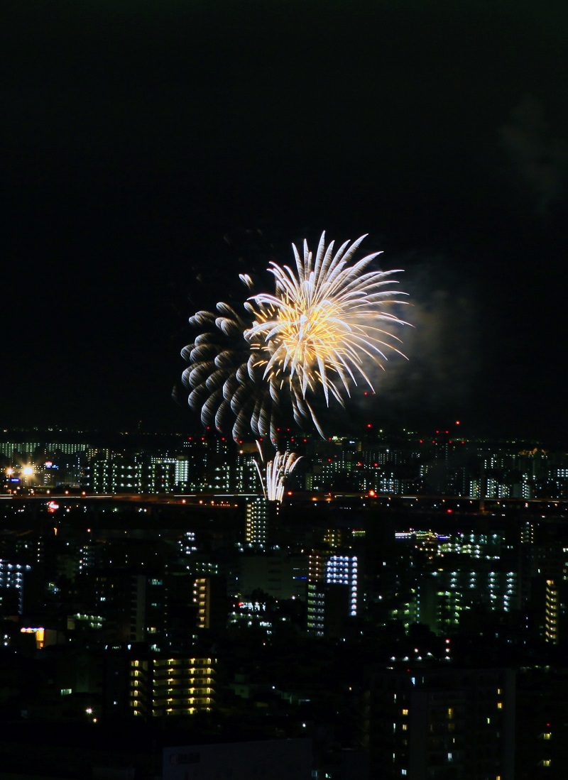 第34回江東花火大会・2016_b0083801_03014604.jpg