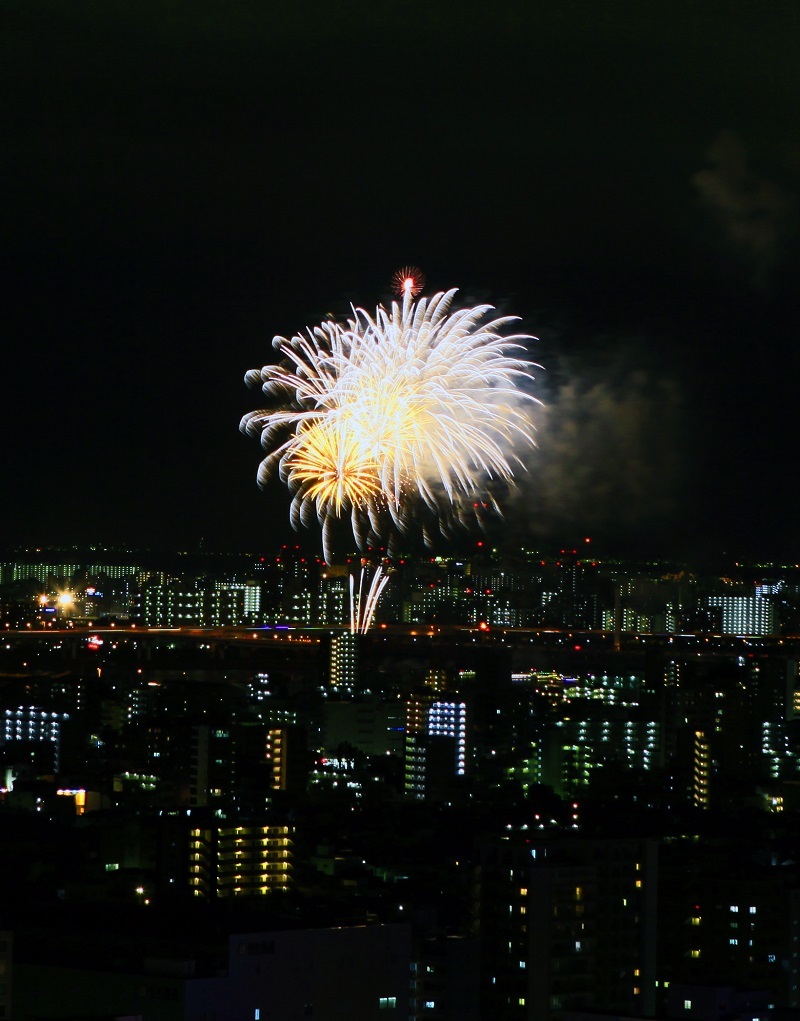 第34回江東花火大会・2016_b0083801_03020876.jpg