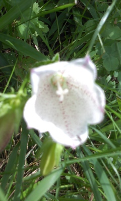f0187402_20514432.jpg