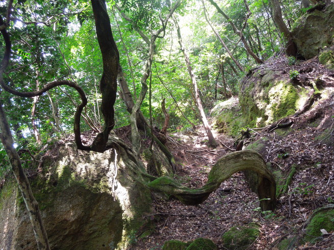 f0297809_21593267.jpg