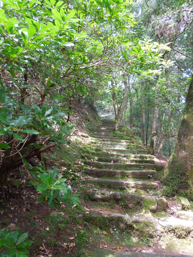 f0297809_220443.jpg