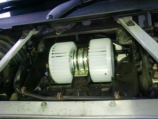 c0118011_1215127.jpg