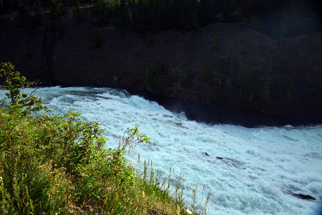 f0046614_1563214.jpg