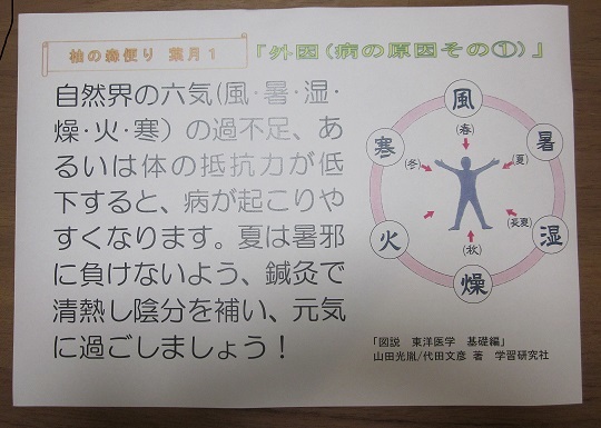 外因(病の原因その①)_f0354314_09352085.jpg