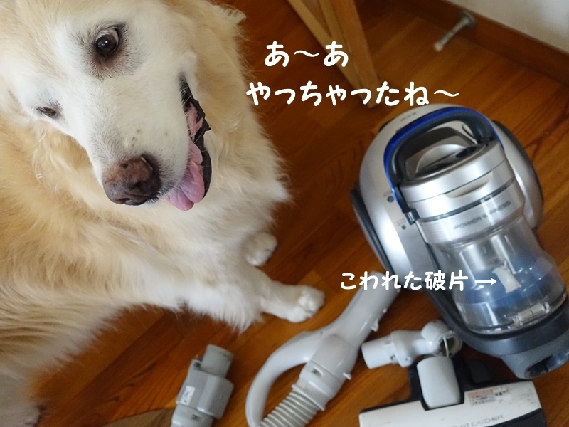 b0119525_13562357.jpg