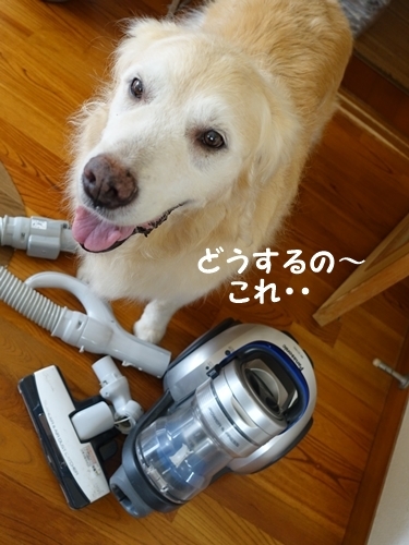 b0119525_14211269.jpg