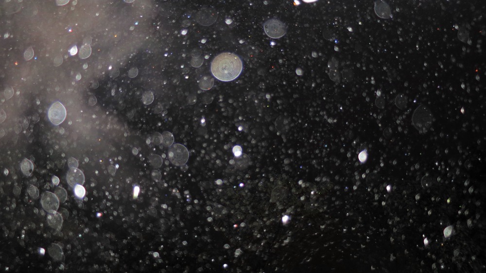 c0331825_19144114.jpg