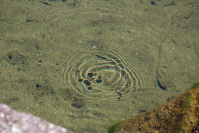 f0348831_08154229.jpg
