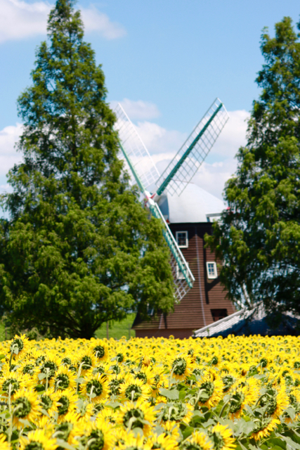 f0348831_08162140.jpg