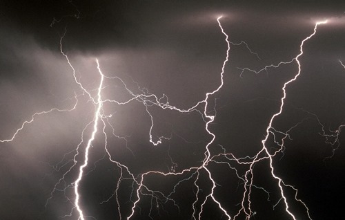 早朝の目覚まし雷とクイーンズ伊勢丹のtポイント参加 お散歩アルバム 賑やかな夏に 早朝の目覚まし雷とクイーンズ伊勢丹のtポイント参加 お散歩アルバム 賑やかな夏に