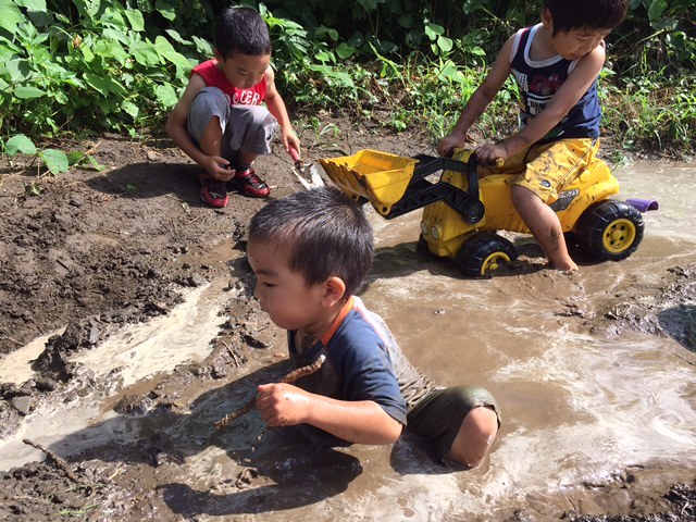 8月1日（月）とつぜんの雷雨☆　水たまりで遊んじゃお♪_c0120851_23562256.jpg