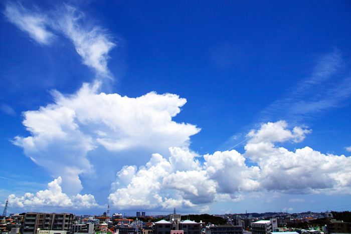 b0049152_17561695.jpg