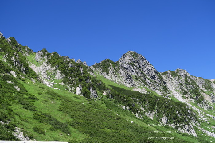 夏山登山  千畳敷カールにて ～木曽駒ヶ岳_e0348754_21382966.jpg