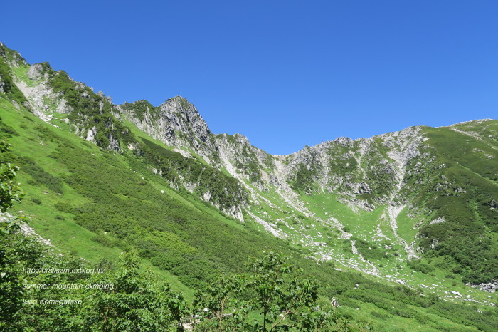 夏山登山  千畳敷カールにて ～木曽駒ヶ岳_e0348754_21391843.jpg