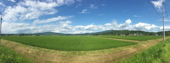 北海道も暑い!気温の問題じゃない!?_a0356060_14132399.jpg