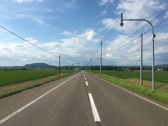 北海道も暑い!気温の問題じゃない!?_a0356060_14135376.jpg