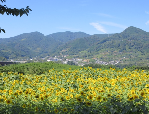 d0164761_1412884.jpg