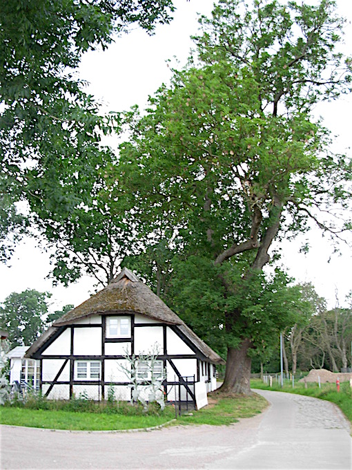 e0357367_2303796.jpg