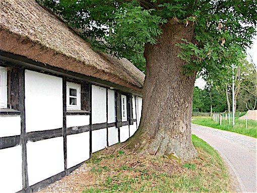 e0357367_230672.jpg