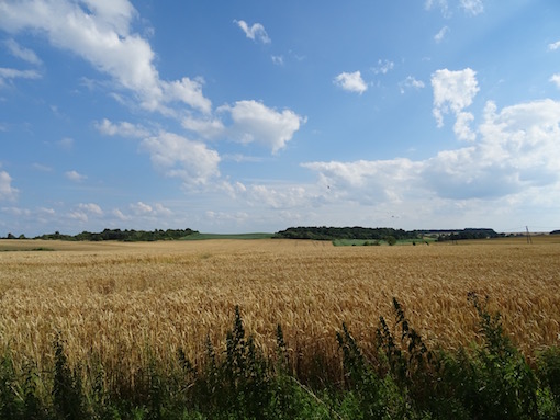 e0357367_2357339.jpg