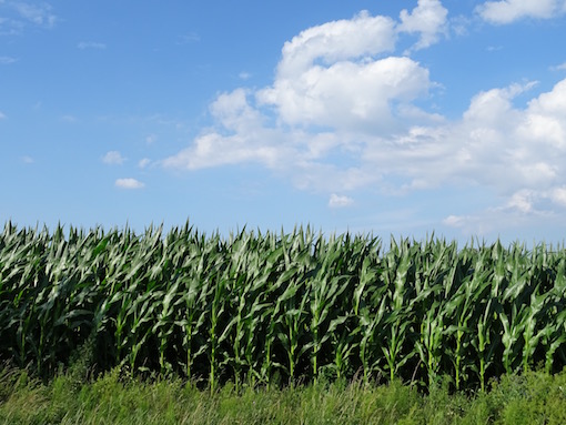 e0357367_23573539.jpg
