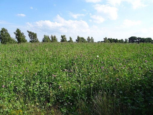e0357367_23583647.jpg