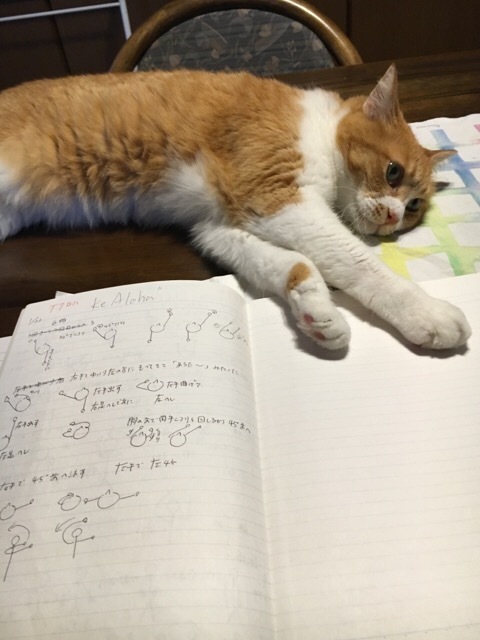 フラダンス 自主錬_f0363168_07222447.jpg