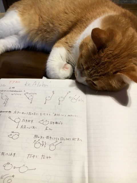 フラダンス 自主錬_f0363168_07223270.jpg