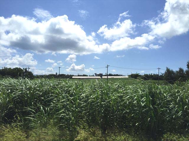 f0167281_114329.jpg