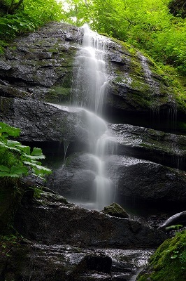 c0324983_22313041.jpg