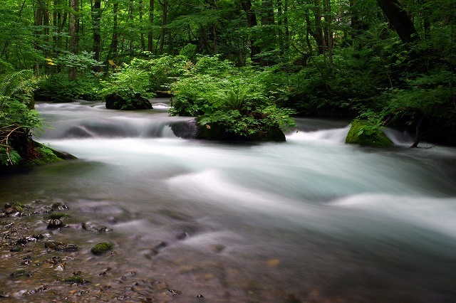 c0324983_22341539.jpg