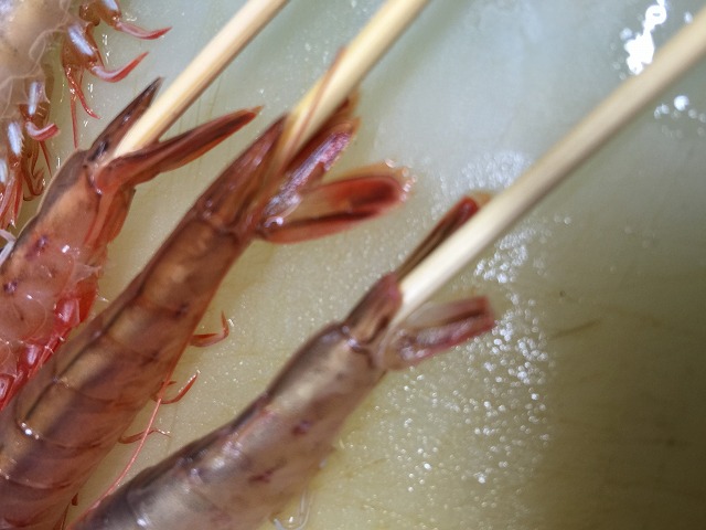 尾が!?_d0268290_7484612.jpg