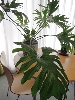 artigana-gの仕事・500_b0055196_11332628.jpg
