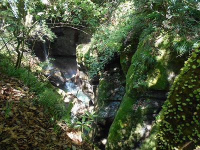 f0308898_1663125.jpg