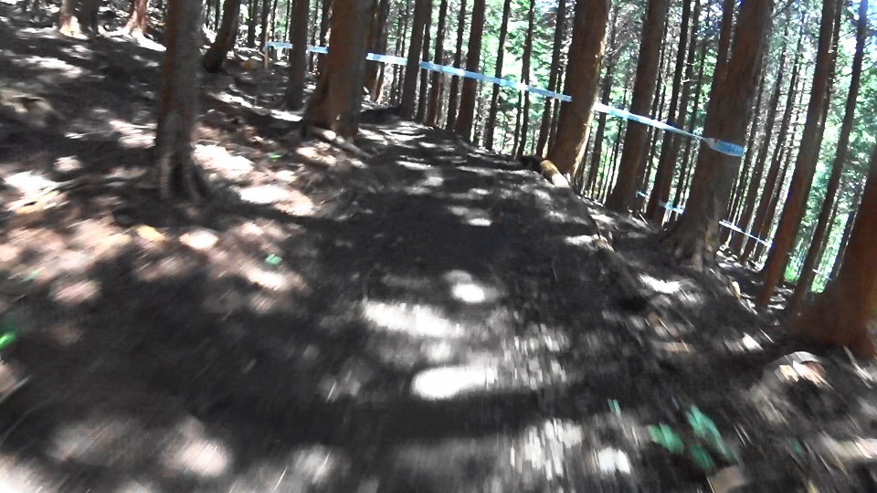 b0092300_034196.jpg