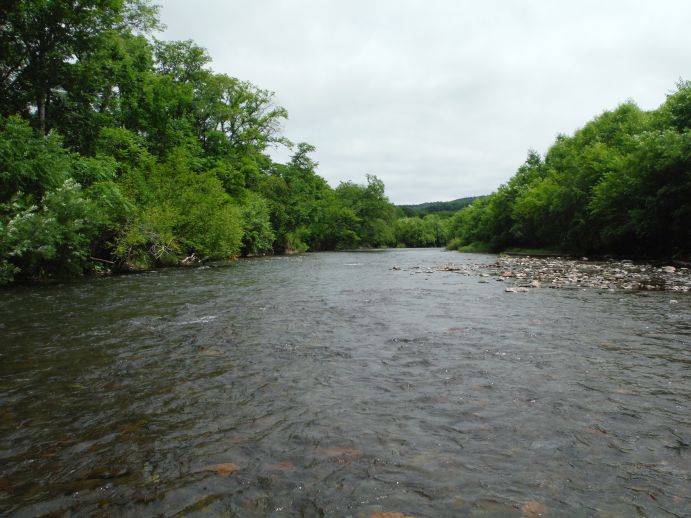 b0172805_232269.jpg